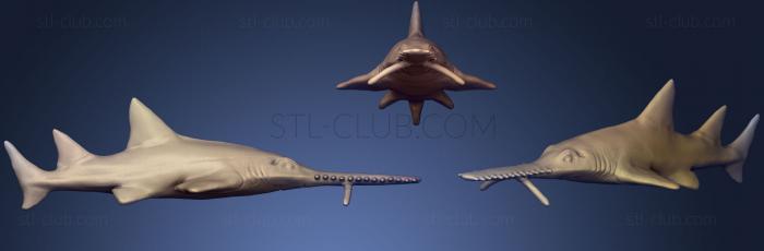 3D модель Акула-пила (STL)